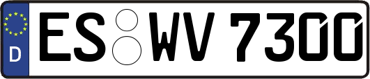 ES-WV7300