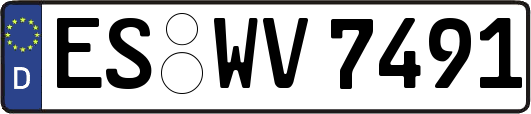 ES-WV7491