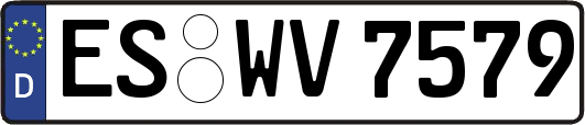 ES-WV7579