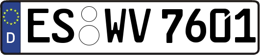 ES-WV7601