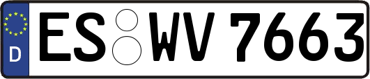 ES-WV7663