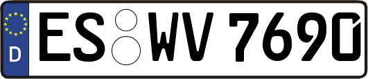 ES-WV7690