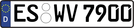 ES-WV7900