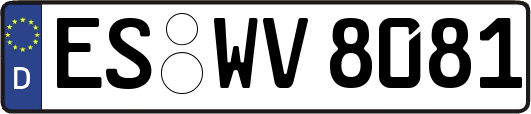 ES-WV8081