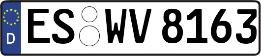 ES-WV8163