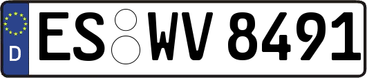 ES-WV8491