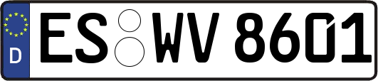ES-WV8601