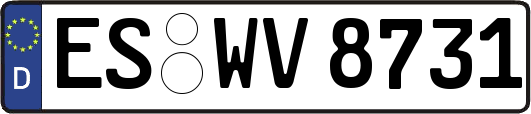 ES-WV8731
