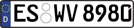 ES-WV8980