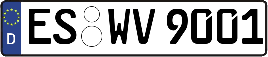 ES-WV9001