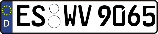 ES-WV9065