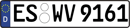 ES-WV9161