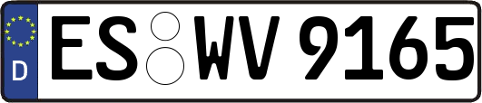 ES-WV9165