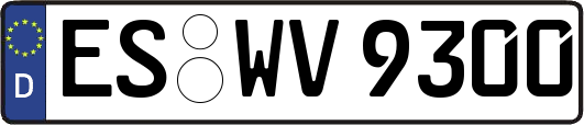ES-WV9300