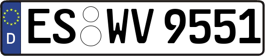 ES-WV9551