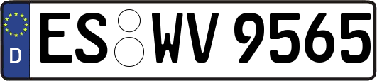 ES-WV9565
