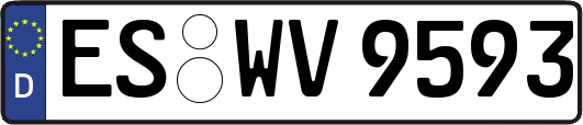 ES-WV9593
