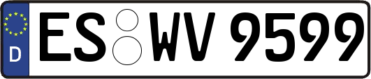 ES-WV9599