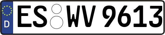 ES-WV9613