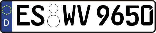 ES-WV9650