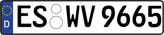 ES-WV9665