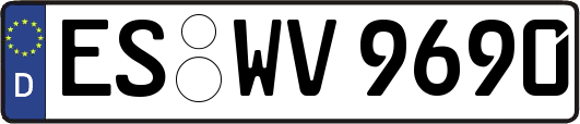 ES-WV9690
