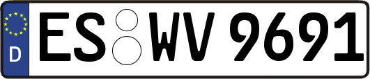 ES-WV9691