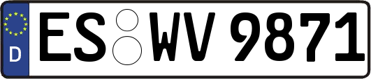 ES-WV9871