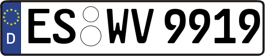 ES-WV9919
