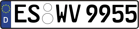 ES-WV9955