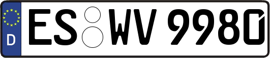 ES-WV9980