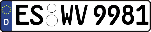 ES-WV9981