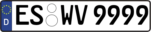 ES-WV9999