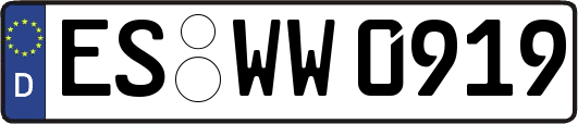 ES-WW0919