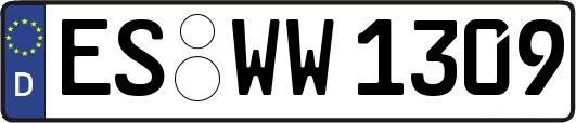 ES-WW1309