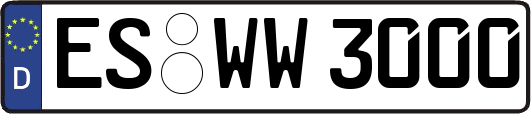 ES-WW3000