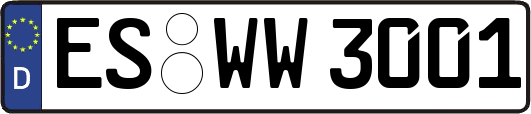ES-WW3001