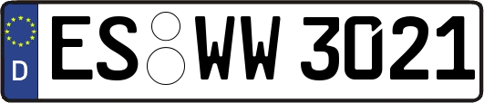 ES-WW3021