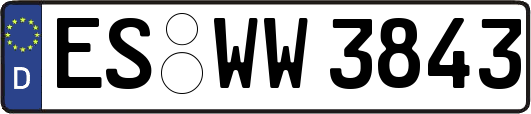 ES-WW3843
