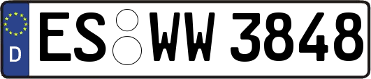 ES-WW3848