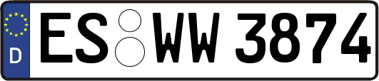 ES-WW3874