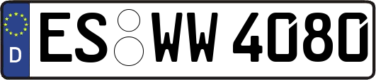 ES-WW4080