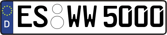 ES-WW5000