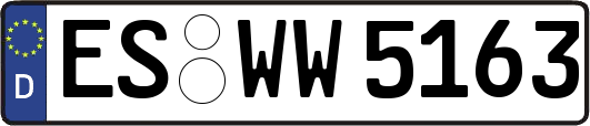 ES-WW5163