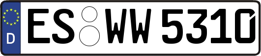 ES-WW5310