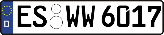 ES-WW6017
