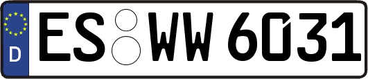 ES-WW6031