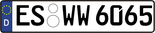 ES-WW6065