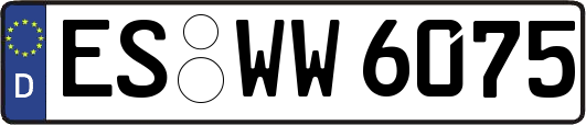 ES-WW6075