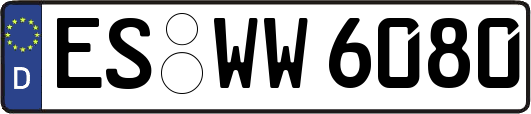 ES-WW6080
